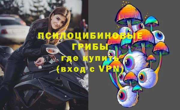Альфа ПВП Баксан