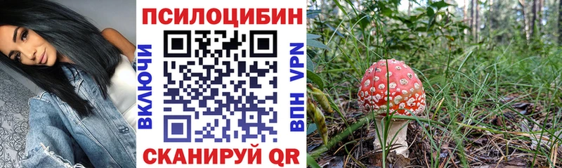 Псилоцибиновые грибы мухоморы  Купить закладки  Котельнич 